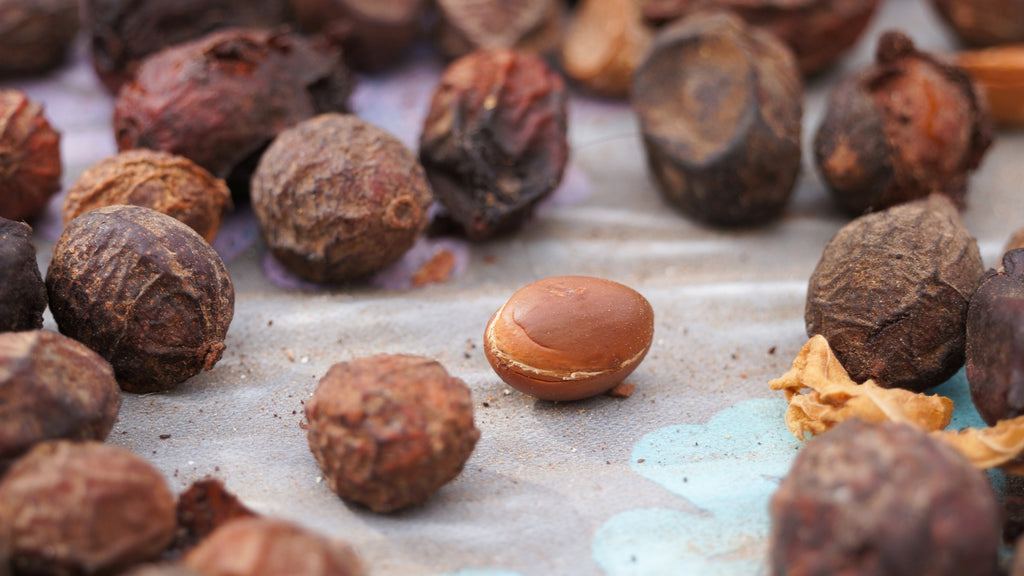 Tout ce qui se garde dans l'argan.